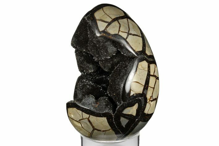 Septarian Dragon Egg Geode - Black & Brown Crystals #183126